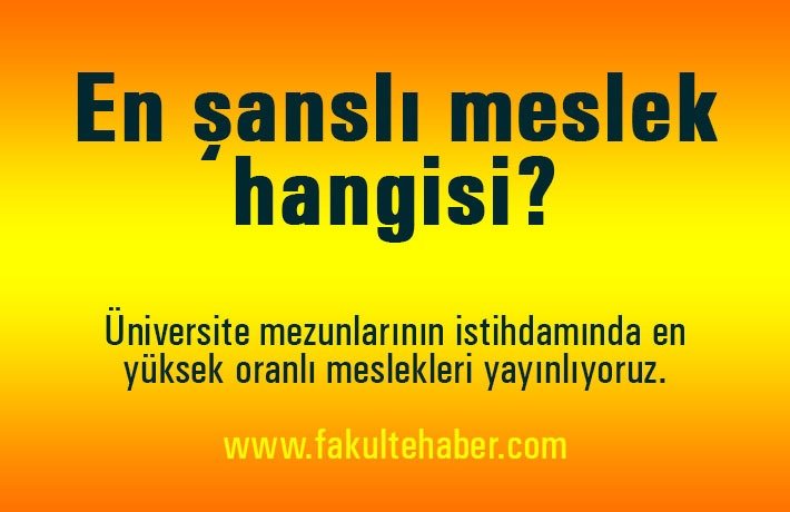 ?? bulmada en ?ansl? meslekler 'veterinerlik' ve 'm�hendislik'