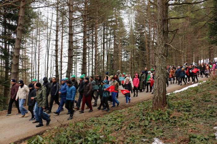 Ormanlar?n Önemine Dikkat Çekildi