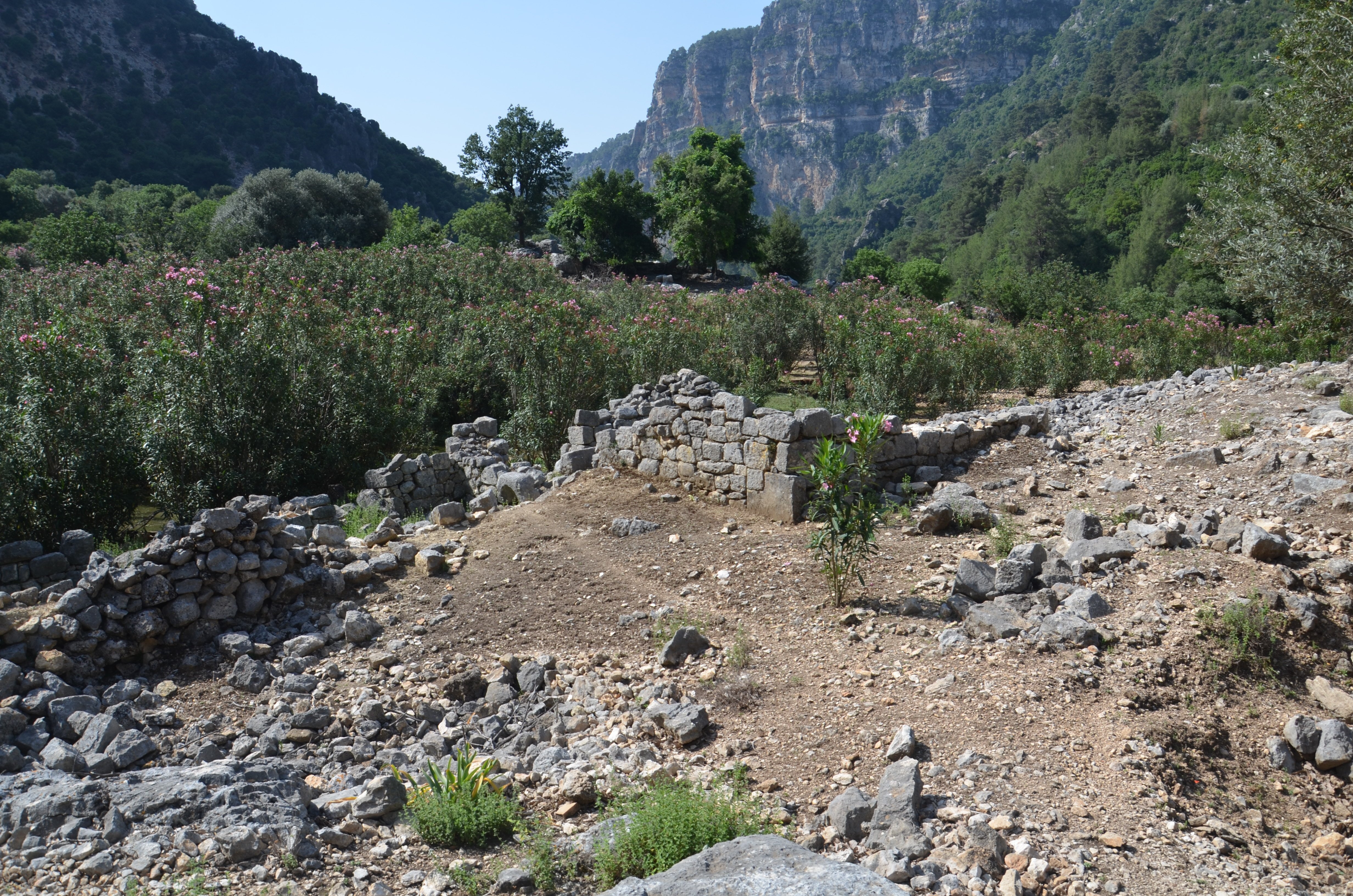 Tarsus'da Arkeolojik Y�zey Ara?t?rmalar? Ba?l?yor