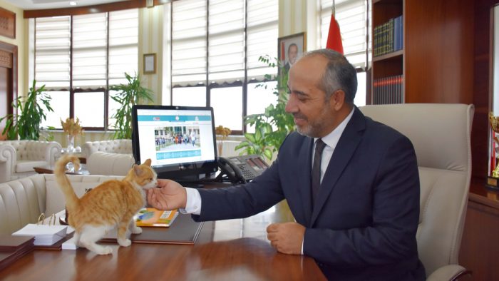 Bitkin bulunan kedi yavrusu rekt�rl�?�n maskotu oldu
